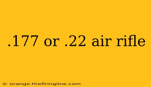 .177 or .22 air rifle