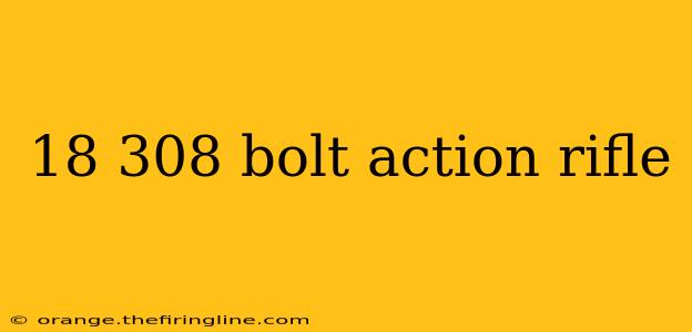 18 308 bolt action rifle