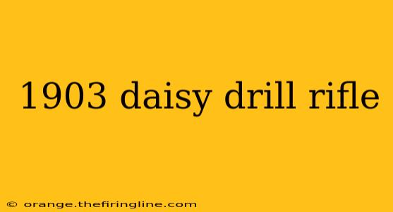 1903 daisy drill rifle