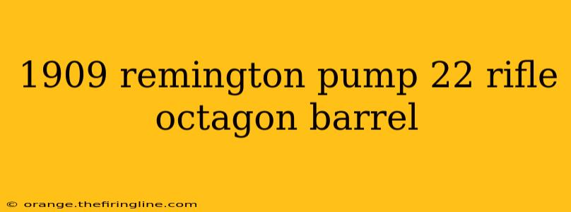 1909 remington pump 22 rifle octagon barrel