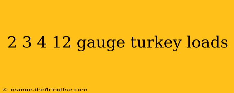 2 3 4 12 gauge turkey loads