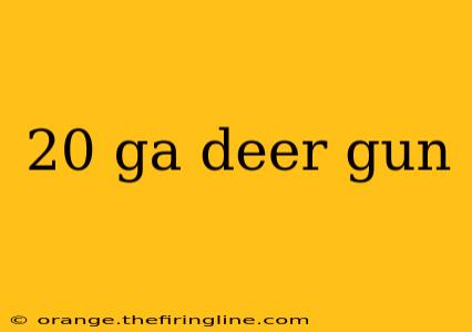 20 ga deer gun