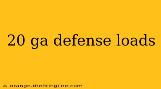 20 ga defense loads