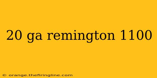 20 ga remington 1100