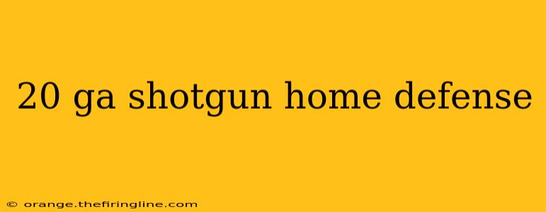 20 ga shotgun home defense