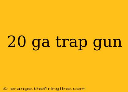 20 ga trap gun