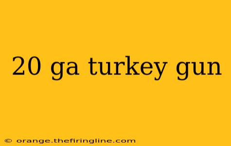 20 ga turkey gun