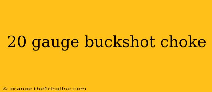 20 gauge buckshot choke