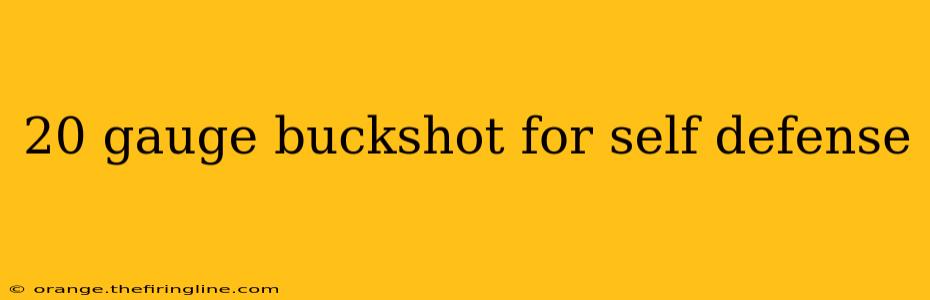 20 gauge buckshot for self defense