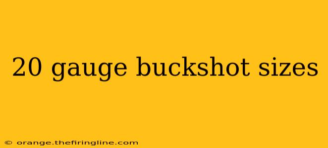 20 gauge buckshot sizes