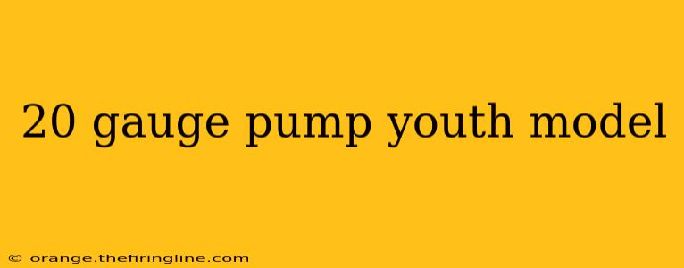 20 gauge pump youth model