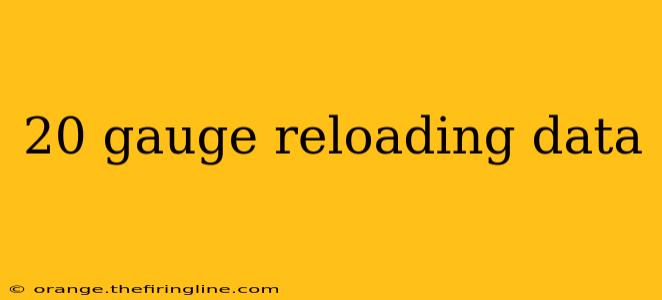 20 gauge reloading data