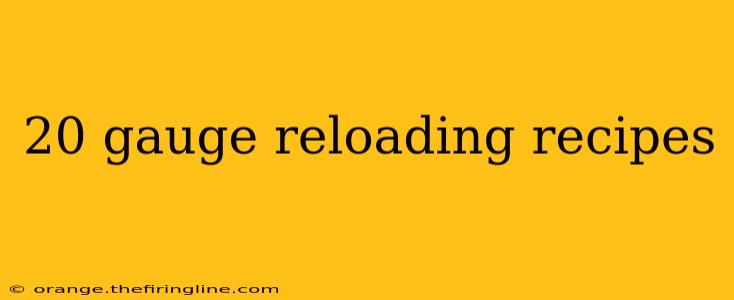 20 gauge reloading recipes