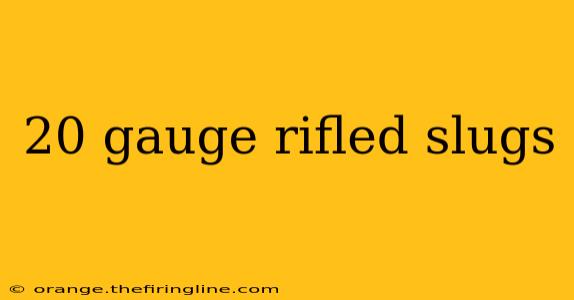 20 gauge rifled slugs