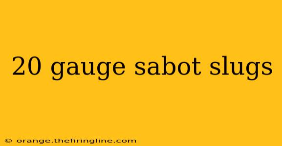 20 gauge sabot slugs