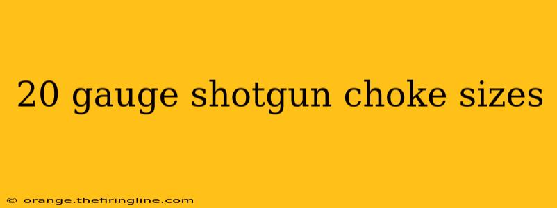 20 gauge shotgun choke sizes