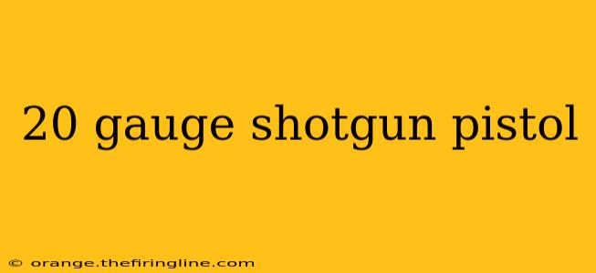 20 gauge shotgun pistol