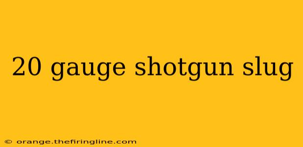 20 gauge shotgun slug