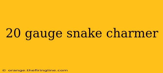 20 gauge snake charmer