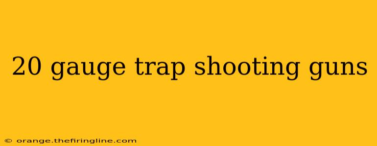 20 gauge trap shooting guns