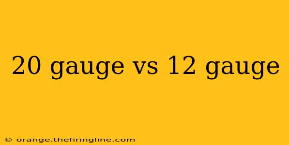 20 gauge vs 12 gauge