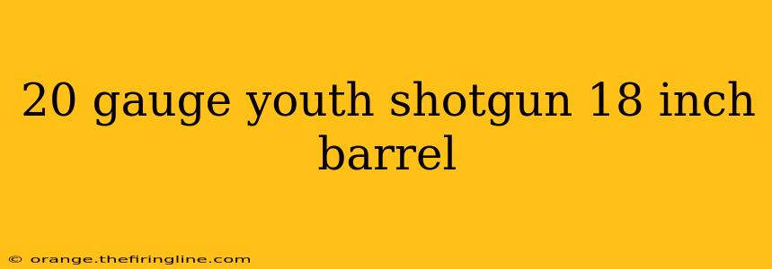 20 gauge youth shotgun 18 inch barrel