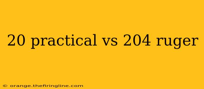 20 practical vs 204 ruger