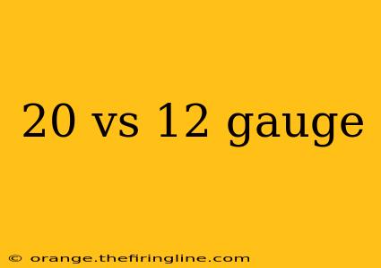 20 vs 12 gauge