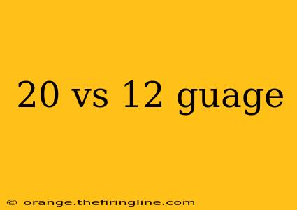 20 vs 12 guage