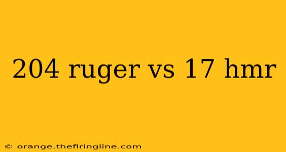 204 ruger vs 17 hmr