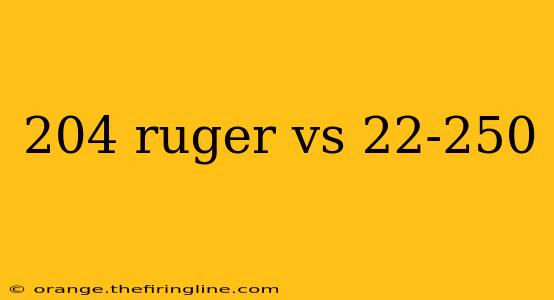 204 ruger vs 22-250