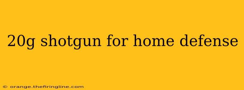 20g shotgun for home defense