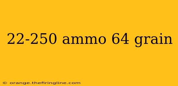 22-250 ammo 64 grain