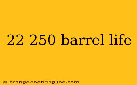 22 250 barrel life