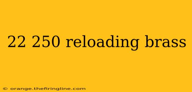 22 250 reloading brass