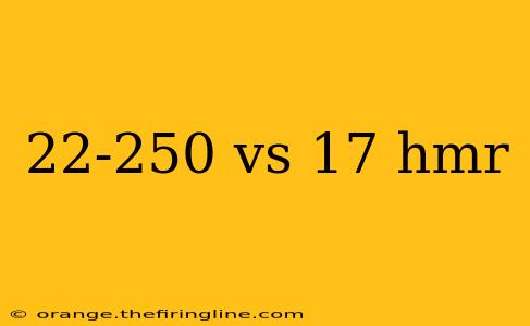 22-250 vs 17 hmr