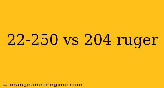 22-250 vs 204 ruger