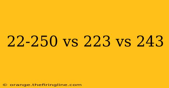 22-250 vs 223 vs 243