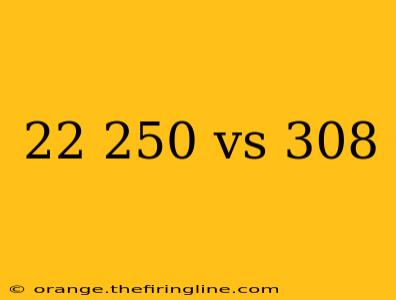 22 250 vs 308