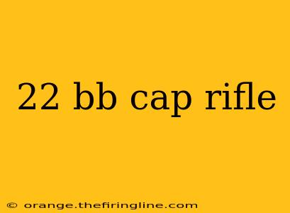 22 bb cap rifle