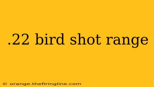 .22 bird shot range