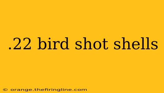 .22 bird shot shells