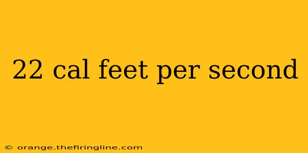 22 cal feet per second