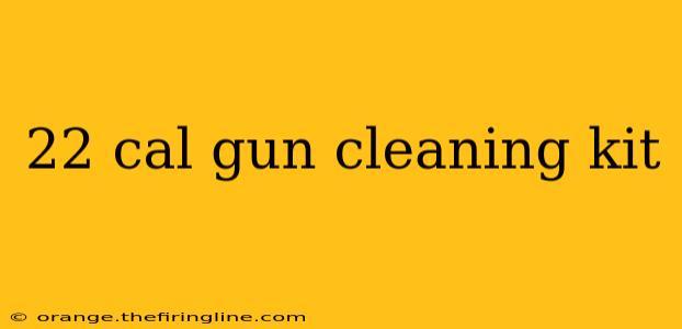 22 cal gun cleaning kit