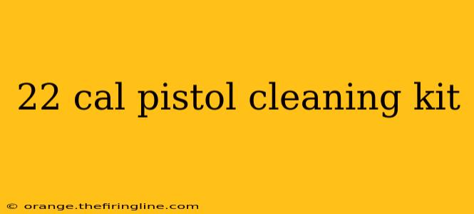 22 cal pistol cleaning kit