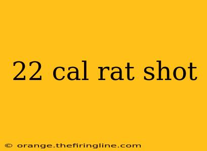 22 cal rat shot