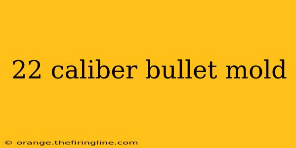 22 caliber bullet mold