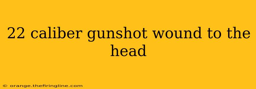 22 caliber gunshot wound to the head