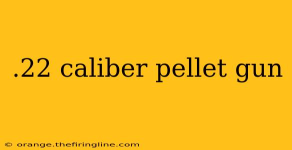 .22 caliber pellet gun