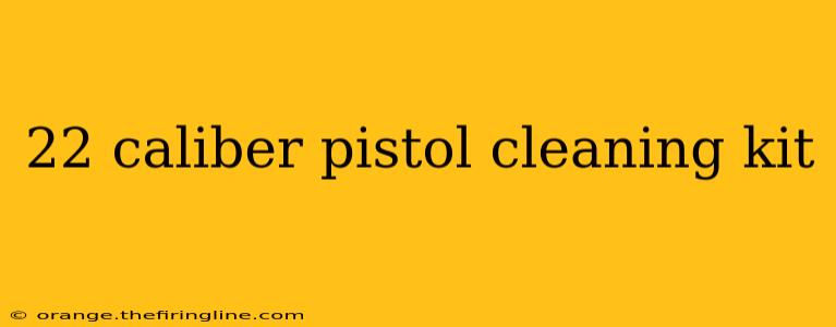 22 caliber pistol cleaning kit